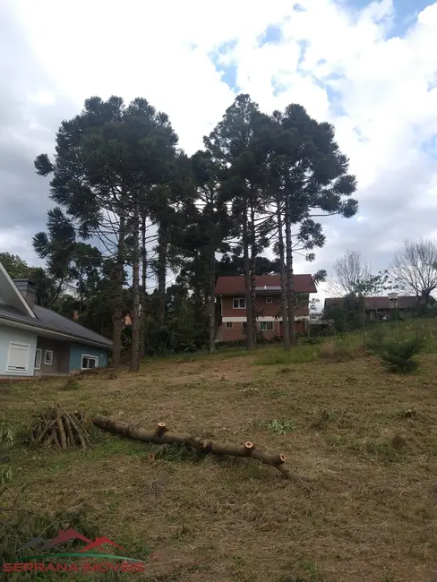 Foto 2 de Terreno / Lote à venda, 554m2 em Nova Petropolis - RS