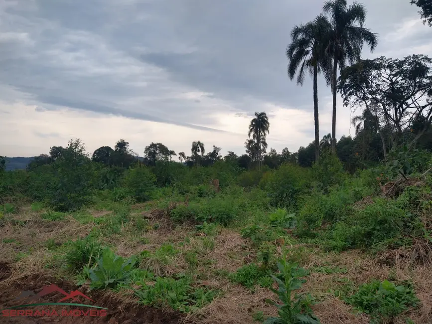 Terreno / Lote à venda em Linha Nova - RS - imagem 6 Foto 6 de Terreno / Lote à venda em Linha Nova - RS