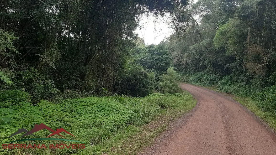 Terreno / Lote à venda, 40000m2 em Nova Petropolis - RS - imagem 3 Foto 3 de Terreno / Lote à venda, 40000m2 em Nova Petropolis - RS