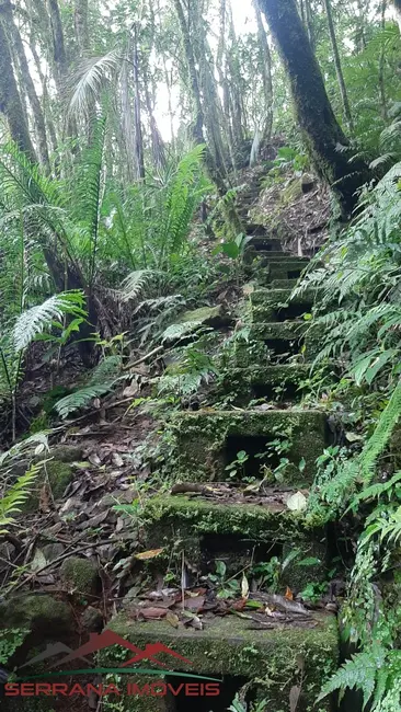 Terreno / Lote à venda, 40000m2 em Nova Petropolis - RS - imagem 8 Foto 8 de Terreno / Lote à venda, 40000m2 em Nova Petropolis - RS