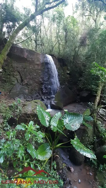 Terreno / Lote à venda, 40000m2 em Nova Petropolis - RS - imagem 5 Foto 5 de Terreno / Lote à venda, 40000m2 em Nova Petropolis - RS