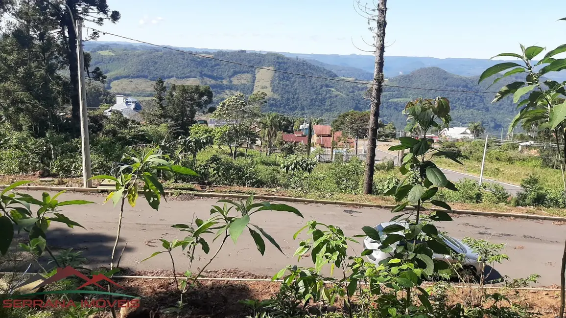 Terreno / Lote à venda, 447m2 em Nova Petropolis - RS - imagem 4 Foto 4 de Terreno / Lote à venda, 447m2 em Nova Petropolis - RS