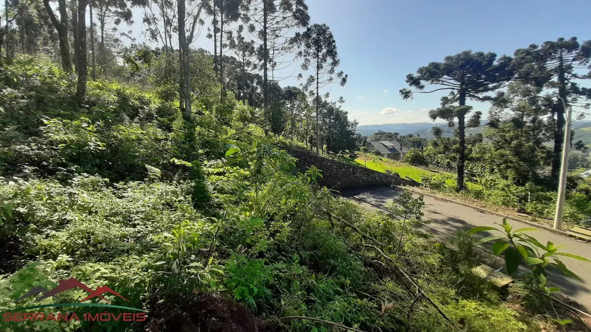 Terreno / Lote à venda, 447m2 em Nova Petropolis - RS - imagem 3 Foto 3 de Terreno / Lote à venda, 447m2 em Nova Petropolis - RS
