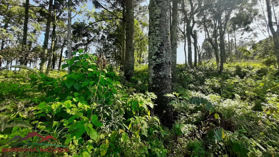 Terreno / Lote à venda, 447m2 em Nova Petropolis - RS - imagem 8 Foto 8 de Terreno / Lote à venda, 447m2 em Nova Petropolis - RS