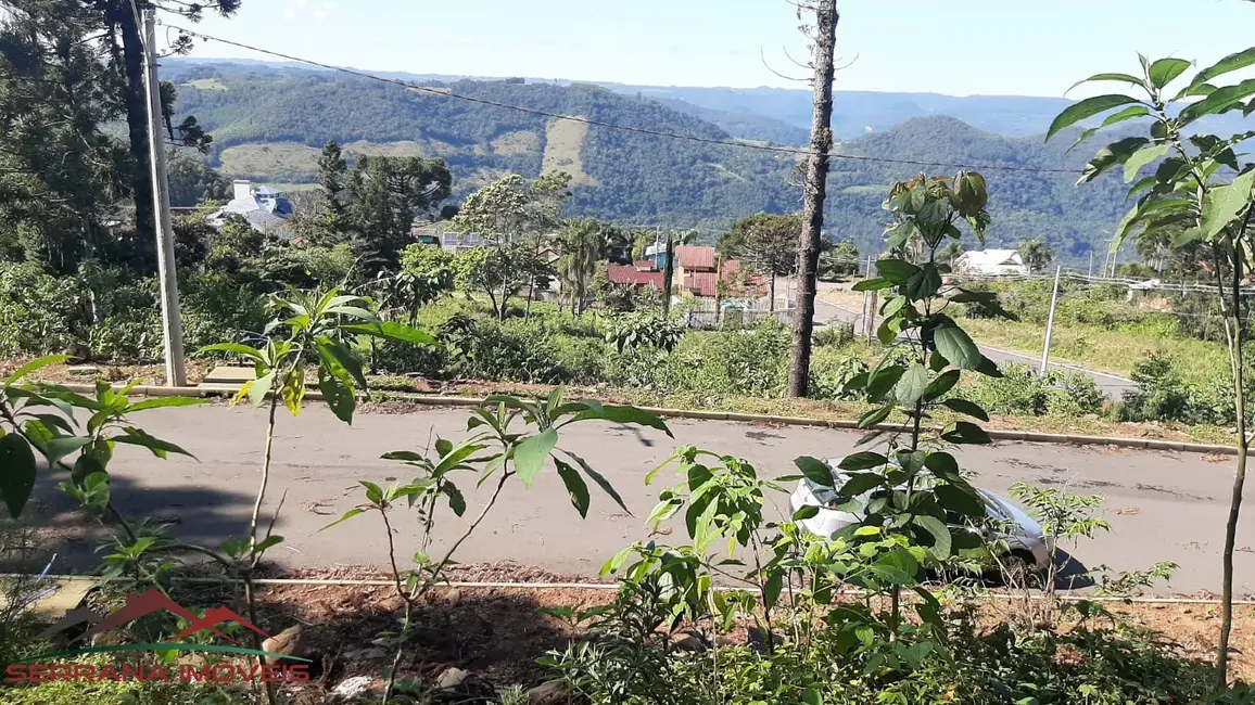 Terreno / Lote à venda, 447m2 em Nova Petropolis - RS - imagem 2 Foto 2 de Terreno / Lote à venda, 447m2 em Nova Petropolis - RS