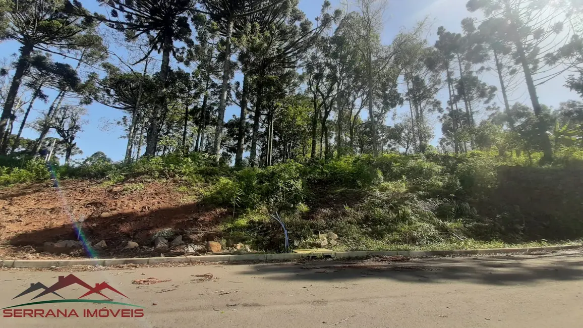 Terreno / Lote à venda, 447m2 em Nova Petropolis - RS - imagem 5 Foto 5 de Terreno / Lote à venda, 447m2 em Nova Petropolis - RS