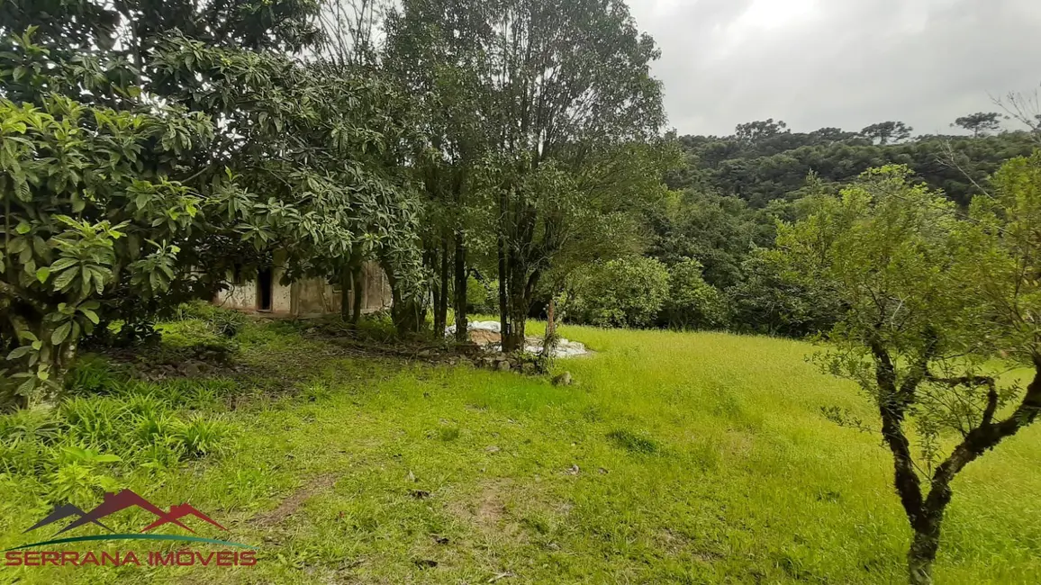 Terreno / Lote à venda, 120000m2 em Nova Petropolis - RS - imagem 9 Foto 9 de Terreno / Lote à venda, 120000m2 em Nova Petropolis - RS