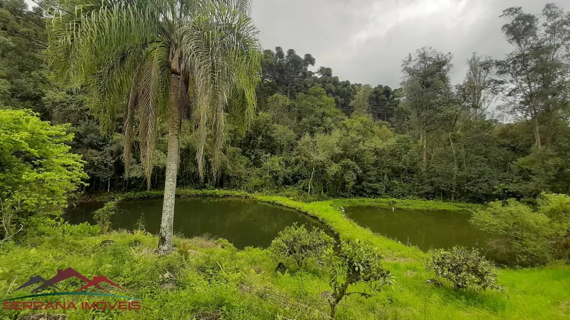Terreno / Lote à venda, 120000m2 em Nova Petropolis - RS - imagem 3 Foto 3 de Terreno / Lote à venda, 120000m2 em Nova Petropolis - RS