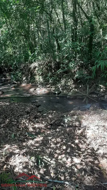 Casa com 5 quartos à venda, 95m2 em Picada Cafe - RS - imagem 7 Foto 7 de Casa com 5 quartos à venda, 95m2 em Picada Cafe - RS