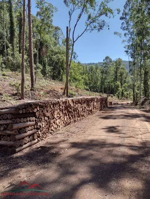 Terreno / Lote à venda, 21000m2 em Nova Petropolis - RS - imagem 1 Foto 1 de Terreno / Lote à venda, 21000m2 em Nova Petropolis - RS