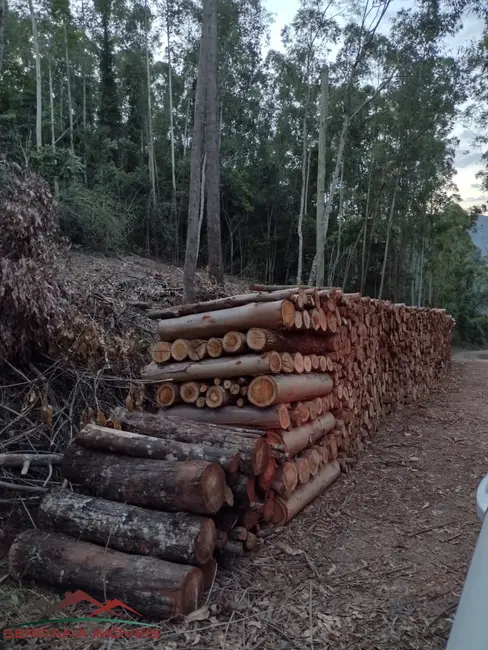 Terreno / Lote à venda, 21000m2 em Nova Petropolis - RS - imagem 4 Foto 4 de Terreno / Lote à venda, 21000m2 em Nova Petropolis - RS