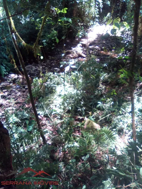 Terreno / Lote à venda, 55000m2 em Nova Petropolis - RS - imagem 4 Foto 4 de Terreno / Lote à venda, 55000m2 em Nova Petropolis - RS