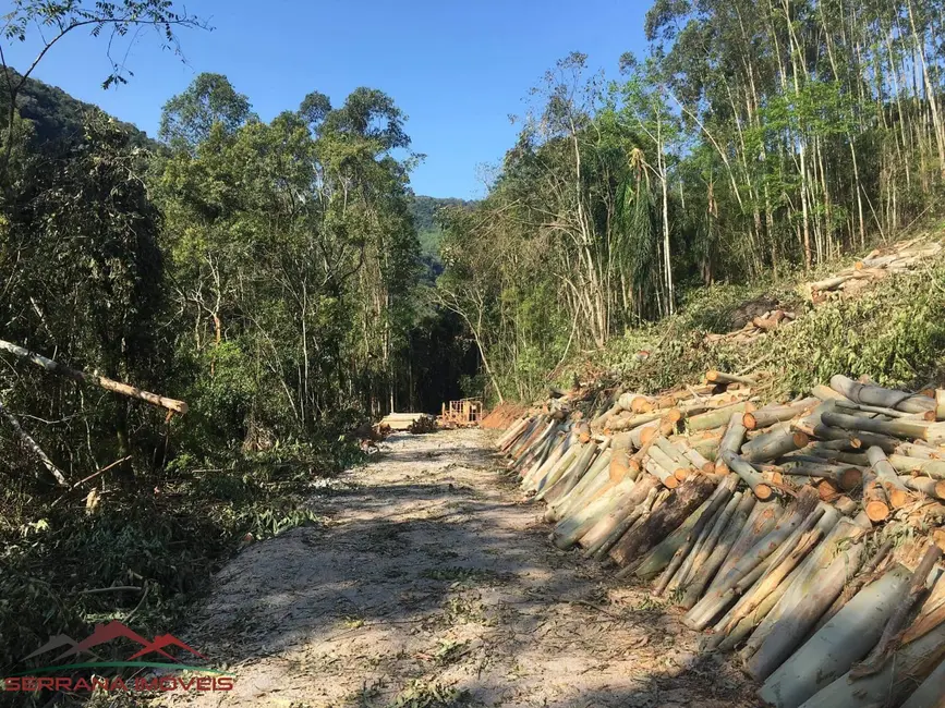 Terreno / Lote à venda, 55000m2 em Nova Petropolis - RS - imagem 7 Foto 7 de Terreno / Lote à venda, 55000m2 em Nova Petropolis - RS