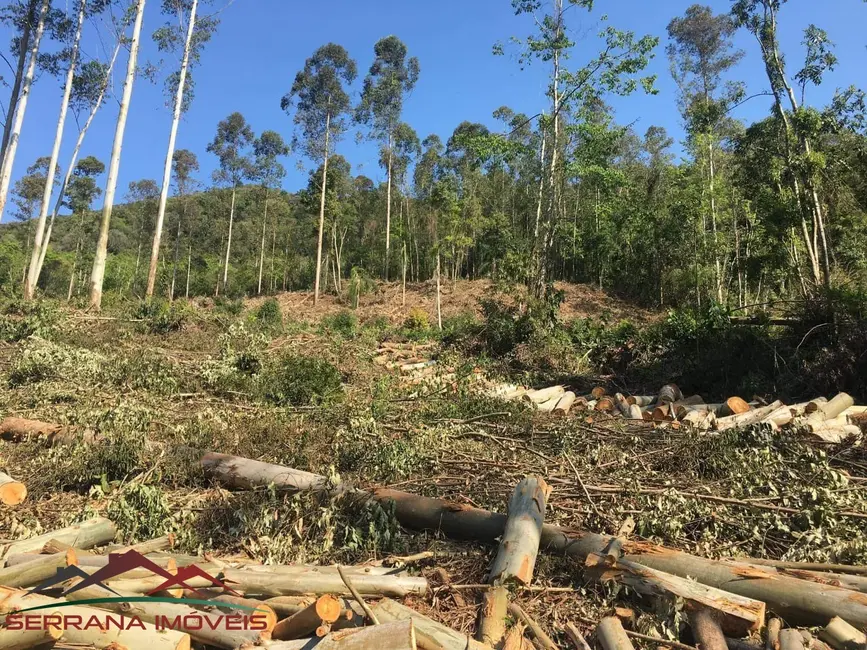 Terreno / Lote à venda, 55000m2 em Nova Petropolis - RS - imagem 9 Foto 9 de Terreno / Lote à venda, 55000m2 em Nova Petropolis - RS