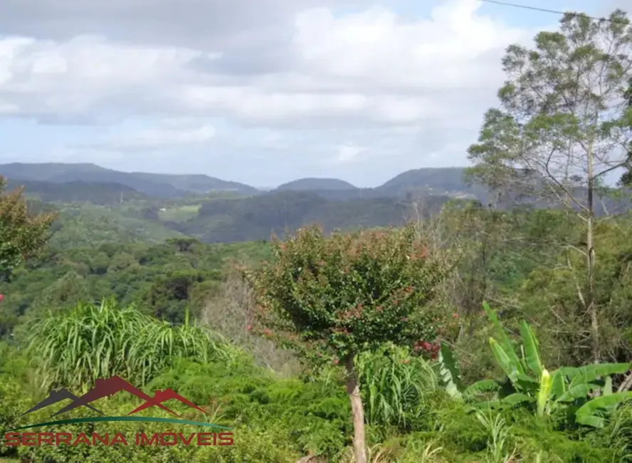 Casa com 3 quartos à venda, 80m2 em Centro, Nova Petropolis - RS - imagem 7 Foto 7 de Casa com 3 quartos à venda, 80m2 em Centro, Nova Petropolis - RS