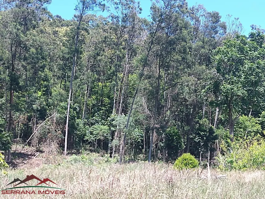 Foto 4 de Terreno / Lote à venda, 21515m2 em Nova Petropolis - RS