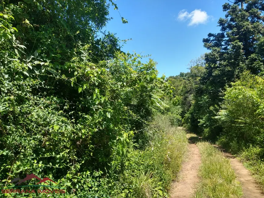 Foto 8 de Terreno / Lote à venda, 21515m2 em Nova Petropolis - RS