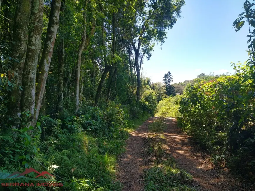 Foto 9 de Terreno / Lote à venda, 21515m2 em Nova Petropolis - RS