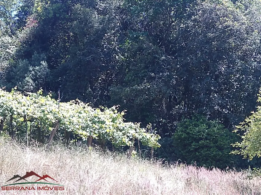 Foto 3 de Terreno / Lote à venda, 21515m2 em Nova Petropolis - RS
