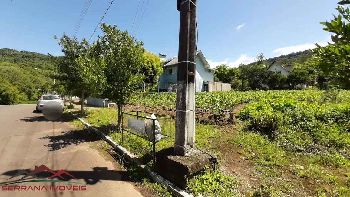 Terreno / Lote à venda, 384m2 em Picada Cafe - RS - imagem 5 Foto 5 de Terreno / Lote à venda, 384m2 em Picada Cafe - RS