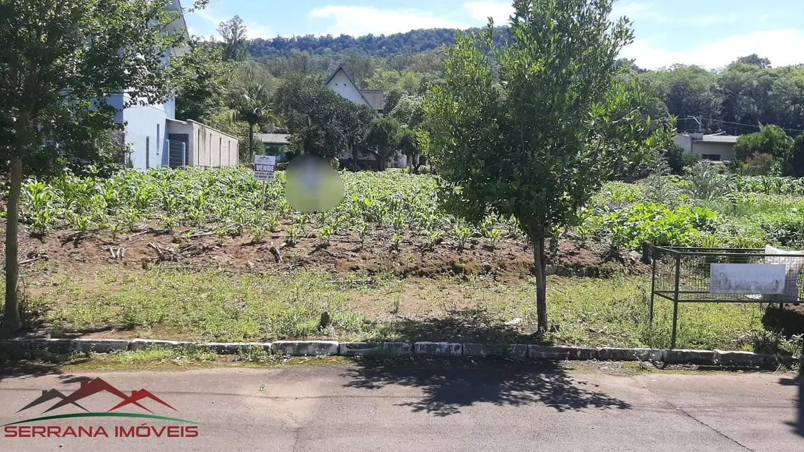 Terreno / Lote à venda, 384m2 em Picada Cafe - RS - imagem 2 Foto 2 de Terreno / Lote à venda, 384m2 em Picada Cafe - RS