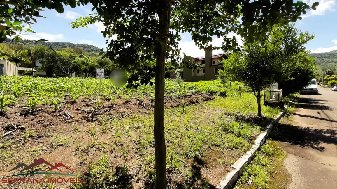 Terreno / Lote à venda, 384m2 em Picada Cafe - RS - imagem 3 Foto 3 de Terreno / Lote à venda, 384m2 em Picada Cafe - RS