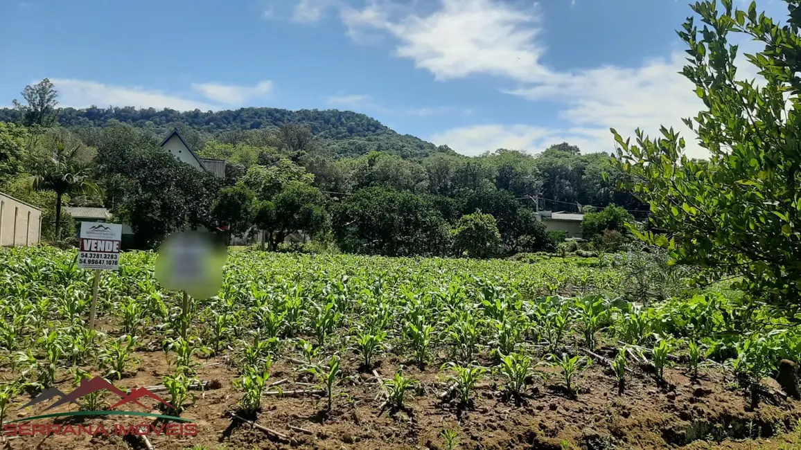 Terreno / Lote à venda, 384m2 em Picada Cafe - RS - imagem 9 Foto 9 de Terreno / Lote à venda, 384m2 em Picada Cafe - RS
