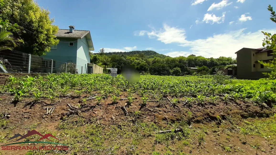 Terreno / Lote à venda, 384m2 em Picada Cafe - RS - imagem 4 Foto 4 de Terreno / Lote à venda, 384m2 em Picada Cafe - RS