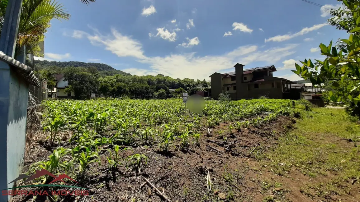Terreno / Lote à venda, 384m2 em Picada Cafe - RS - imagem 7 Foto 7 de Terreno / Lote à venda, 384m2 em Picada Cafe - RS