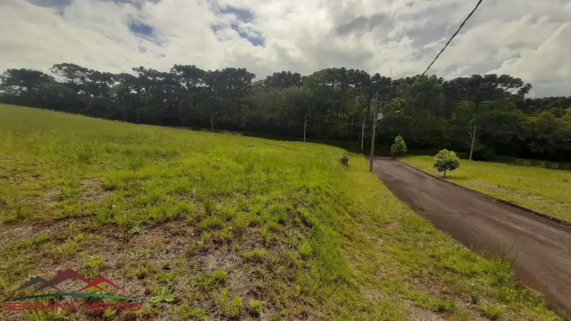 Terreno / Lote à venda, 446m2 em Nova Petropolis - RS - imagem 4 Foto 4 de Terreno / Lote à venda, 446m2 em Nova Petropolis - RS