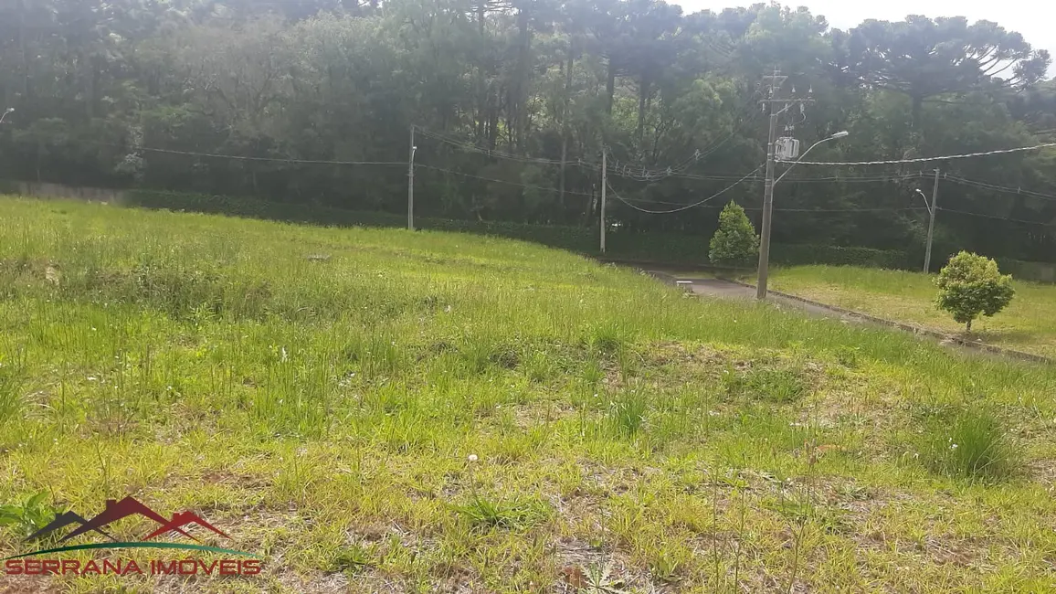 Terreno / Lote à venda, 446m2 em Nova Petropolis - RS - imagem 7 Foto 7 de Terreno / Lote à venda, 446m2 em Nova Petropolis - RS