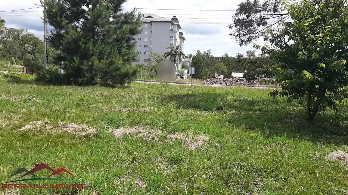 Terreno / Lote à venda, 416m2 em Nova Petropolis - RS - imagem 8 Foto 8 de Terreno / Lote à venda, 416m2 em Nova Petropolis - RS