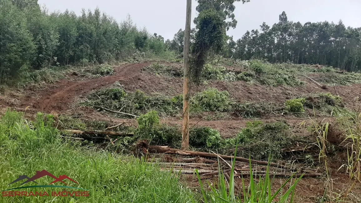 Terreno / Lote à venda, 9342m2 em Nova Petropolis - RS - imagem 7 Foto 7 de Terreno / Lote à venda, 9342m2 em Nova Petropolis - RS