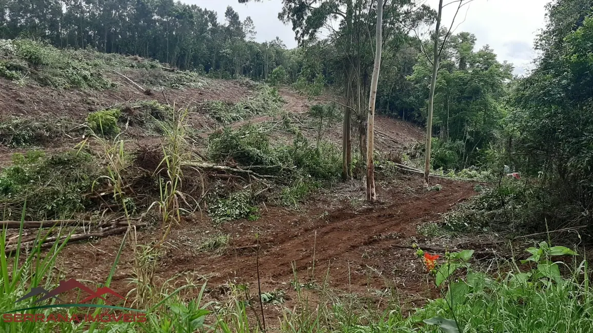 Terreno / Lote à venda, 9342m2 em Nova Petropolis - RS - imagem 6 Foto 6 de Terreno / Lote à venda, 9342m2 em Nova Petropolis - RS