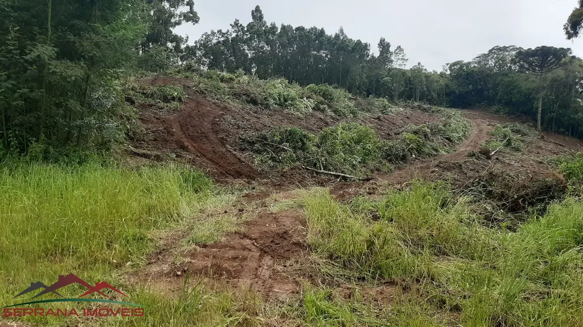 Terreno / Lote à venda, 9342m2 em Nova Petropolis - RS - imagem 3 Foto 3 de Terreno / Lote à venda, 9342m2 em Nova Petropolis - RS