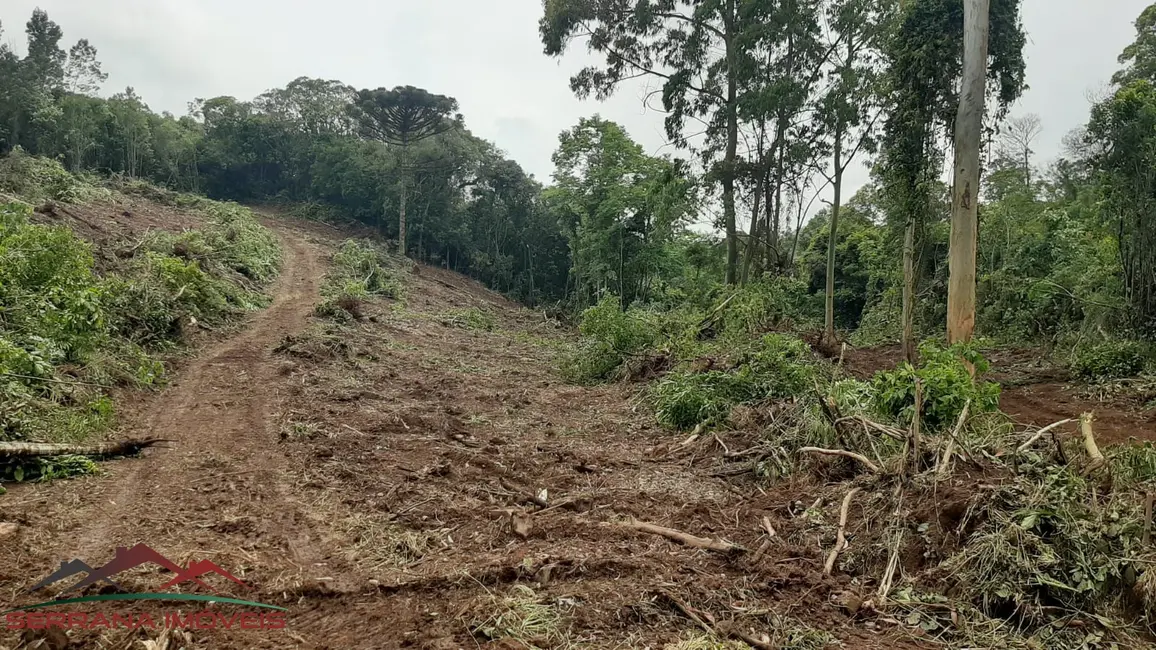 Terreno / Lote à venda, 9342m2 em Nova Petropolis - RS - imagem 8 Foto 8 de Terreno / Lote à venda, 9342m2 em Nova Petropolis - RS
