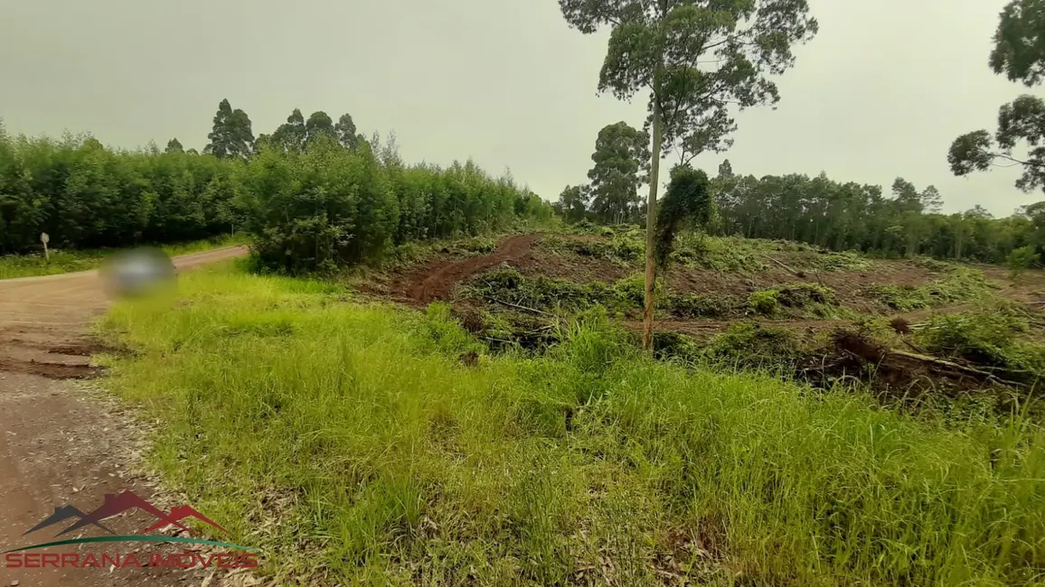 Terreno / Lote à venda, 9342m2 em Nova Petropolis - RS - imagem 5 Foto 5 de Terreno / Lote à venda, 9342m2 em Nova Petropolis - RS
