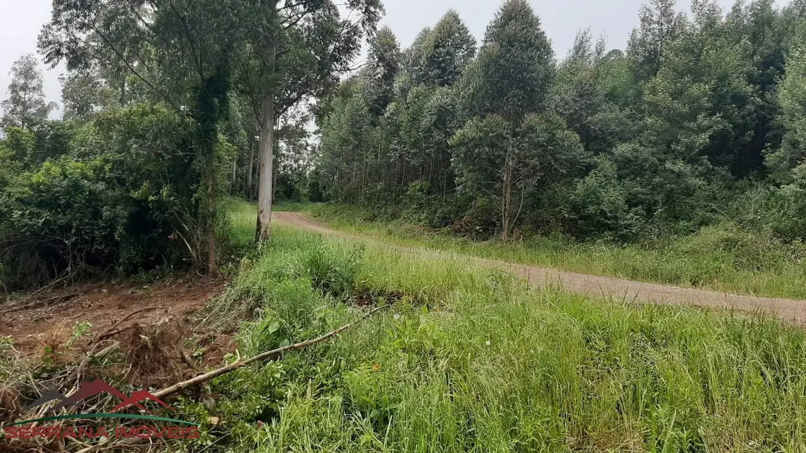 Terreno / Lote à venda, 9342m2 em Nova Petropolis - RS - imagem 9 Foto 9 de Terreno / Lote à venda, 9342m2 em Nova Petropolis - RS