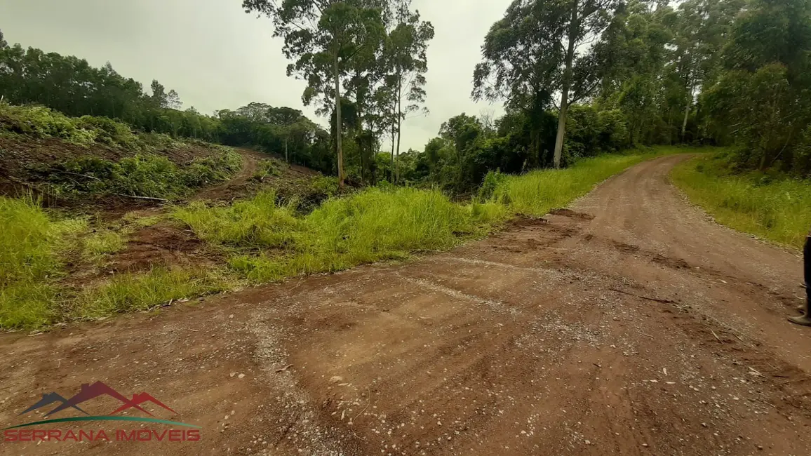 Terreno / Lote à venda, 9342m2 em Nova Petropolis - RS - imagem 4 Foto 4 de Terreno / Lote à venda, 9342m2 em Nova Petropolis - RS