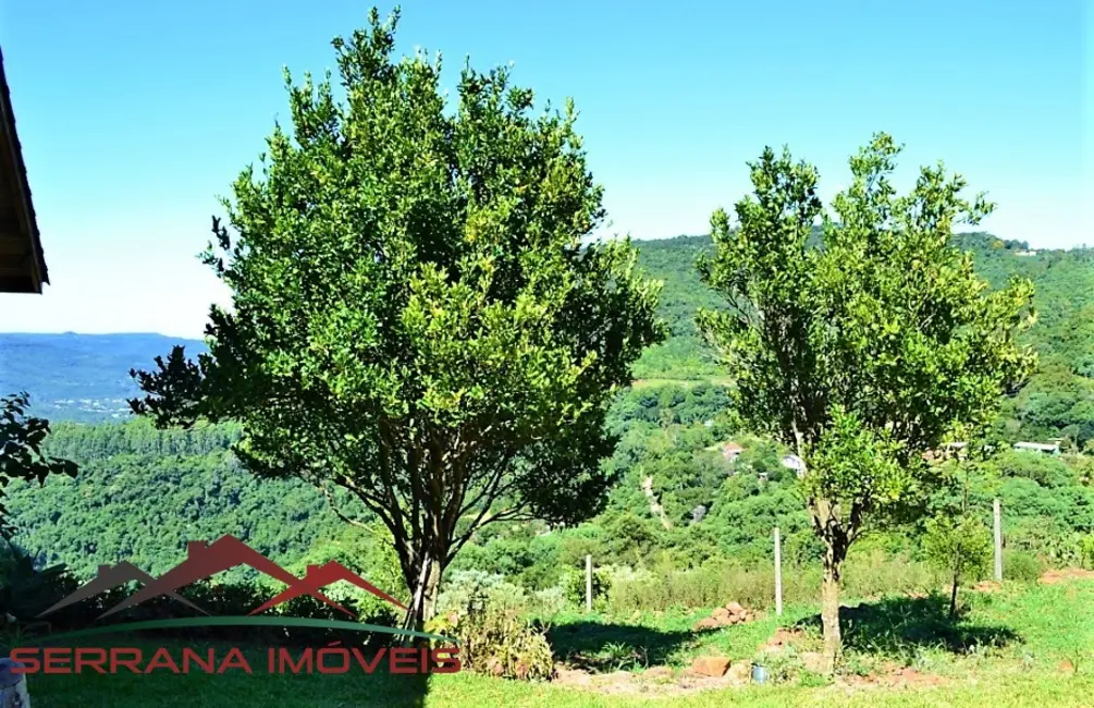 Sítio / Rancho com 1 quarto à venda, 65m2 em Picada Cafe - RS - imagem 8 Foto 8 de Sítio / Rancho com 1 quarto à venda, 65m2 em Picada Cafe - RS