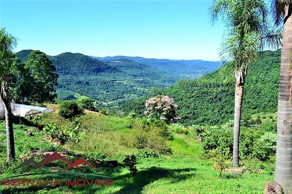 Sítio / Rancho com 1 quarto à venda, 65m2 em Picada Cafe - RS - imagem 6 Foto 6 de Sítio / Rancho com 1 quarto à venda, 65m2 em Picada Cafe - RS