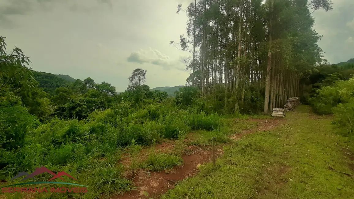 Terreno / Lote à venda, 30000m2 em Nova Petropolis - RS - imagem 5 Foto 5 de Terreno / Lote à venda, 30000m2 em Nova Petropolis - RS
