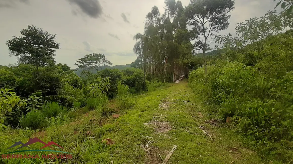 Terreno / Lote à venda, 30000m2 em Nova Petropolis - RS - imagem 6 Foto 6 de Terreno / Lote à venda, 30000m2 em Nova Petropolis - RS