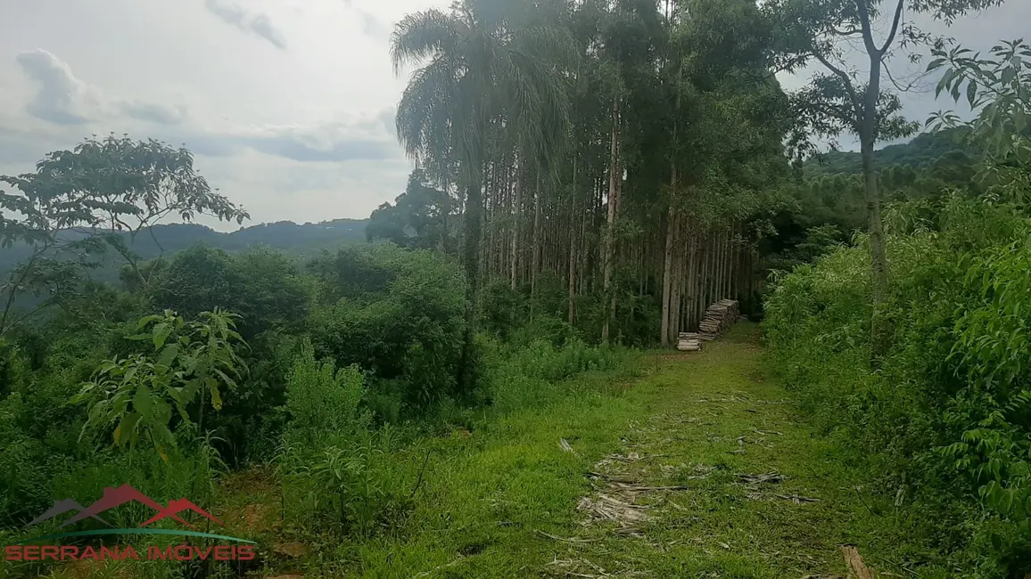 Terreno / Lote à venda, 30000m2 em Nova Petropolis - RS - imagem 3 Foto 3 de Terreno / Lote à venda, 30000m2 em Nova Petropolis - RS