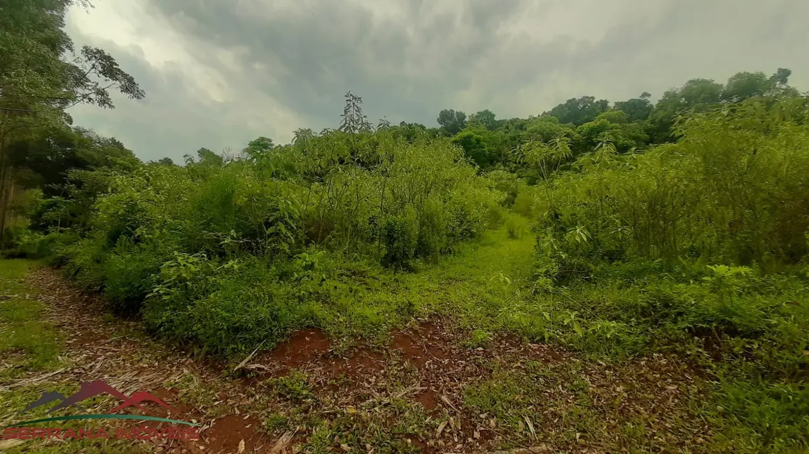Terreno / Lote à venda, 30000m2 em Nova Petropolis - RS - imagem 9 Foto 9 de Terreno / Lote à venda, 30000m2 em Nova Petropolis - RS