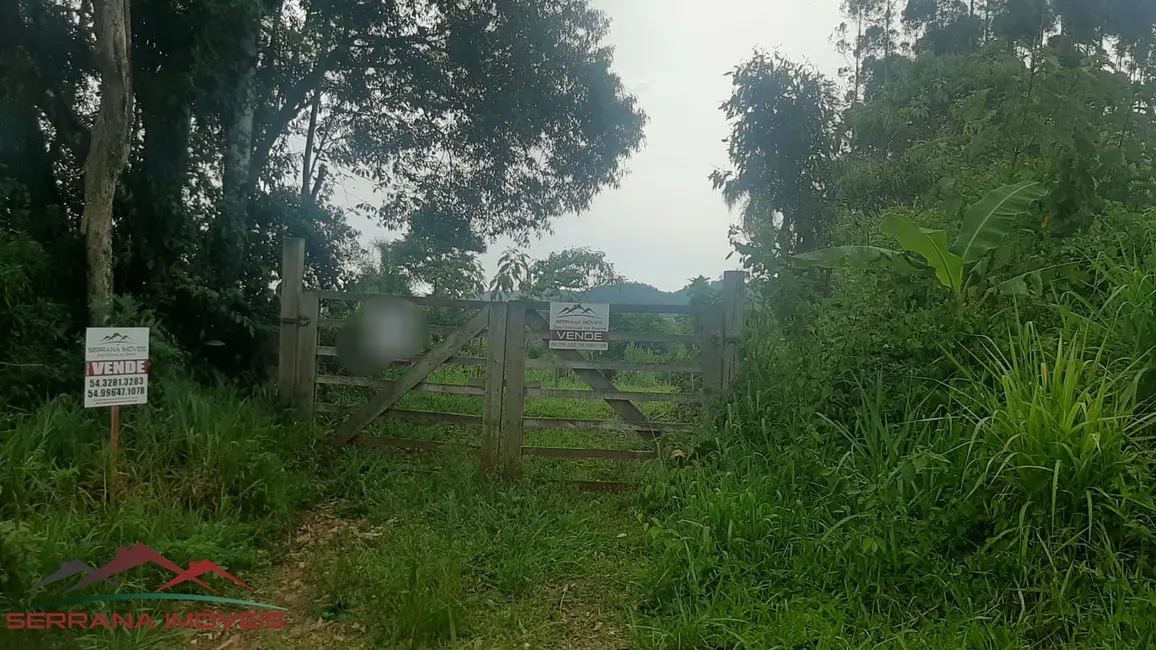 Terreno / Lote à venda, 30000m2 em Nova Petropolis - RS - imagem 4 Foto 4 de Terreno / Lote à venda, 30000m2 em Nova Petropolis - RS