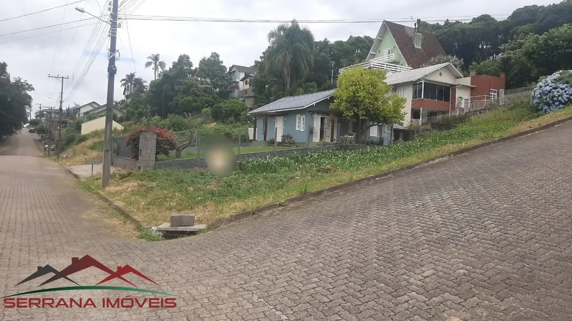 Foto 2 de Terreno / Lote à venda, 394m2 em Nova Petropolis - RS