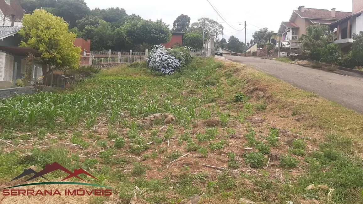 Foto 1 de Terreno / Lote à venda, 394m2 em Nova Petropolis - RS