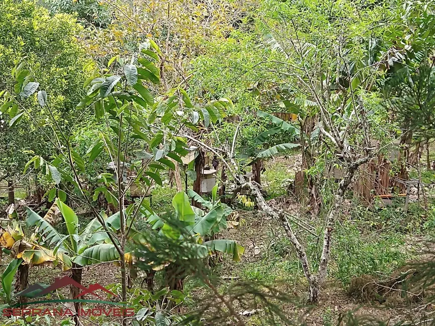 Foto 5 de Chácara com 2 quartos à venda, 70m2 em Nova Petropolis - RS