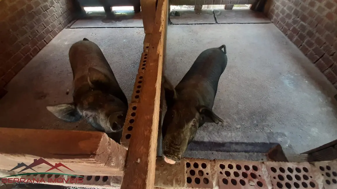 Foto 6 de Chácara com 3 quartos à venda, 100m2 em Nova Petropolis - RS